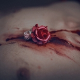 Fleurs FX